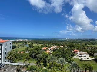 Luxury Ocean View Penthouse - Rio Grande - 9