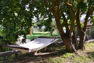 Appartamento Rustico, Wifi, Perugia - 6