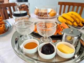 Casa Azul - Quitandinha - Petrópolis - 2