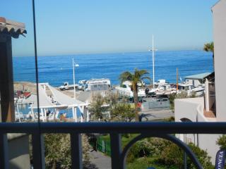 Superbe T2 face mer piscine - 0