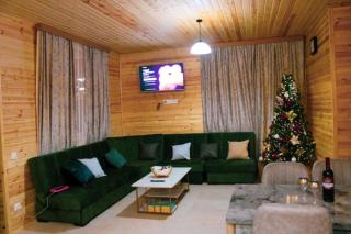 Mountain house in Mestia - 7