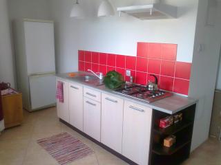 Apartament z widokiem na Teatr Wielki i EC1 - Łódź - 2