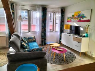 La Roseraie, loft 3 étoiles, calme et ensoleillé au pied des Pyrénées - Bagnères-de-Bigorre - 9