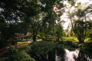 Aishi Machame - Moshi - 5