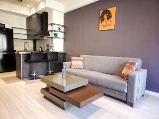 Newly Renovated Condo Steps to Republic Square - Erevan - 0