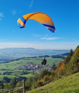 Ferienwohnung Grüntenausblick Bergblick & 2 Balkone im Allgäu - Rettenberg - 3