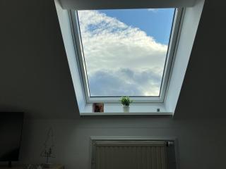 FEWO-Wölkchen mit Ausblick & Komfort über den Dächern von Weißenfels - 3