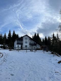 Casa Bradut - Dorna-Arini - 3