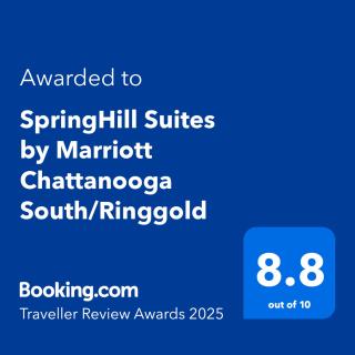 SpringHill Suites by Marriott Chattanooga South/Ringgold - Ringgold - 9