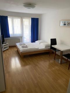Studio in the heart of Zurich - Crown 17 - Zurigo - 0