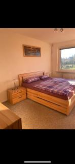 Charmante 2 Zimmer-Wohnung 55qm mit Garten - - 5