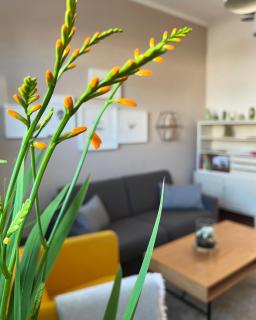 Ferienwohnung Schönwälder mit kleiner Terrasse und WALL BOX - Buxtehude - 9