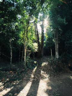 Casa Celeste - Socorro - 7