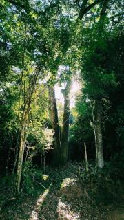 Casa Celeste - Socorro - 3