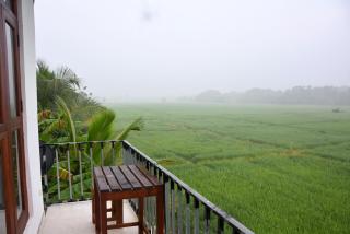 Lotus Leaf Resort - 7