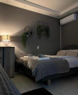 Beta House Apartments - Zaječar - 1