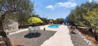 "VILLA TINA" - Castellana Grotte - 3