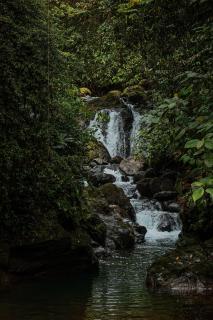 Santa Juana Lodge & Nature Reserve - Quepos - 5