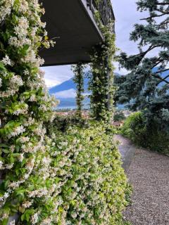 Tanzanite Villa Ago Luxury Apartments & Studios - Gravedona - 1