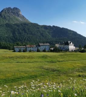Hotel Maloja Kulm - Maloja - 3