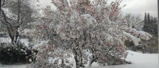 Privat-Pension-Doemens - Aachen - 3