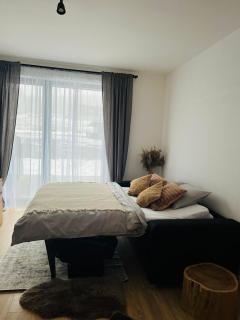 Krušec apartmán Plešivec - Karlovy Vary - 7