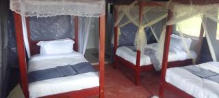 Endeem Mara Resort - Aitong - 6