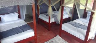 Endeem Mara Resort - Aitong - 7
