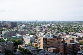 One bedroom oasis steps away from mount royal - Montréal - 3