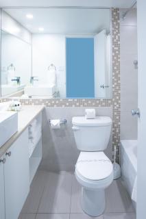 One bedroom oasis steps away from mount royal - Montréal - 6