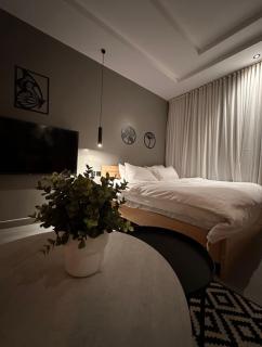 Modern Smart Entry Room - Riade - 0