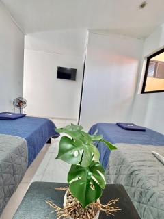 Global House Apartamento 2 Alajuela Centro - Alajuela - 1