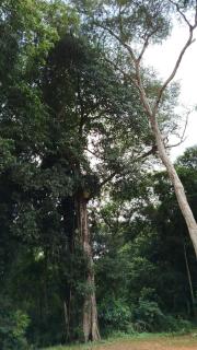 La Reserva - 0