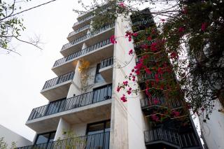 Lapso Asís - Guadalajara - 9