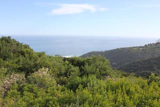 WILDERNESS SEASIDE ESCAPE - Wilderness - 0