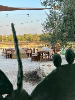 B&B Biobonizio PIERLUIGI - Montegrosso - 2