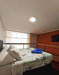 Loft en el corazón de Bellas Artes - Santiago - 5