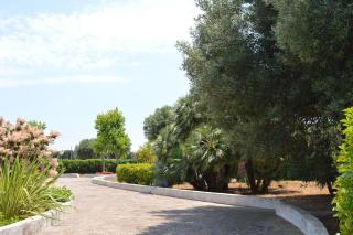 Villa Adele Monopoli,Puglia - Faccia di Trippa - 6