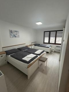 Apartmán Borák - Velké Karlovice - 8