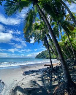 Makanda by The Sea Hotel Adults Only - Manuel Antonio - 8