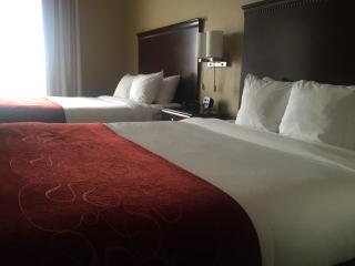 Comfort Suites Marietta-Parkersburg - Marietta - 9