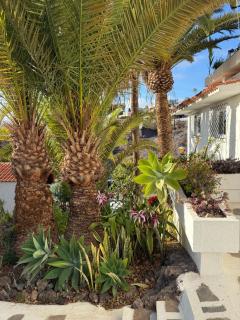 Calima house - Chayofa - 3