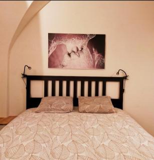 Magnifiques voûtes avec SPA - 4