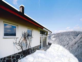 Apartment in Pfaffenberg near Ski Slopes - Zell im Wiesental - 1