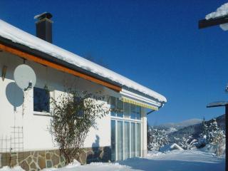 Apartment, Zell im Wiesental - Zell im Wiesental - 2
