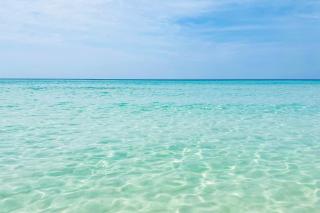 Island Gardens 303 - 7