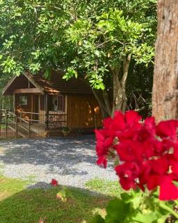 Glamping Panorama - Araçoiaba da Serra - 3