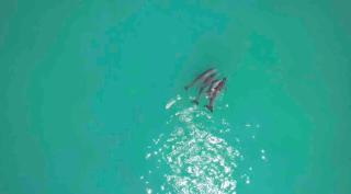 All inclusive Punta Allen Luxury private Villa - Punta Allen - 4