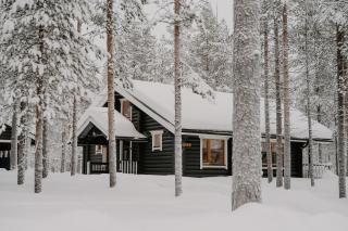 Kiilopää Lodge Lapland Cabin - Kakslauttanen - 5