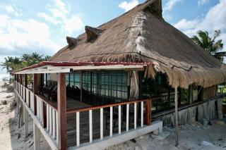 All inclusive Punta Allen Luxury private Villa - Punta Allen - 9